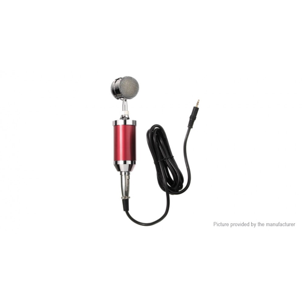 BM-3000 Dynamic Condenser Microphone for Karaoke/Sound Recording