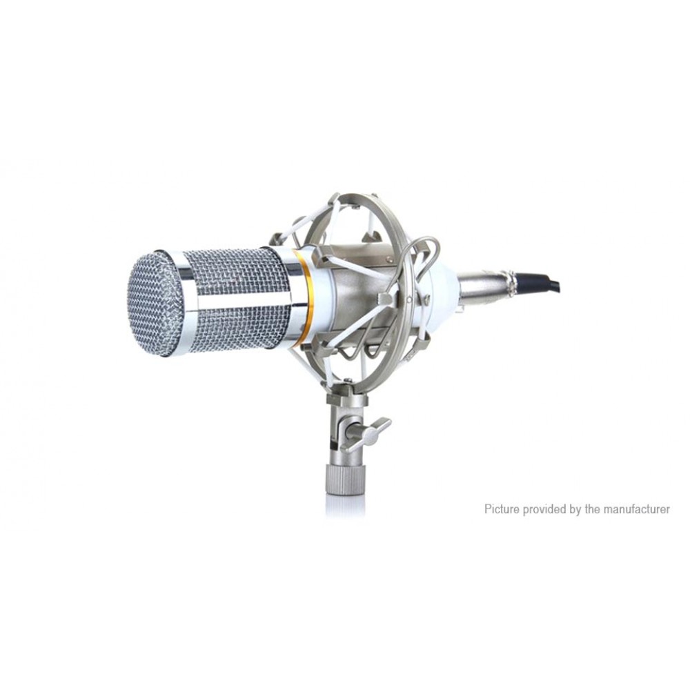 BM-800 Professional Studio Condenser Microphone