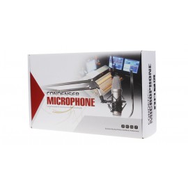 BM-800 Professional Studio Condenser Microphone